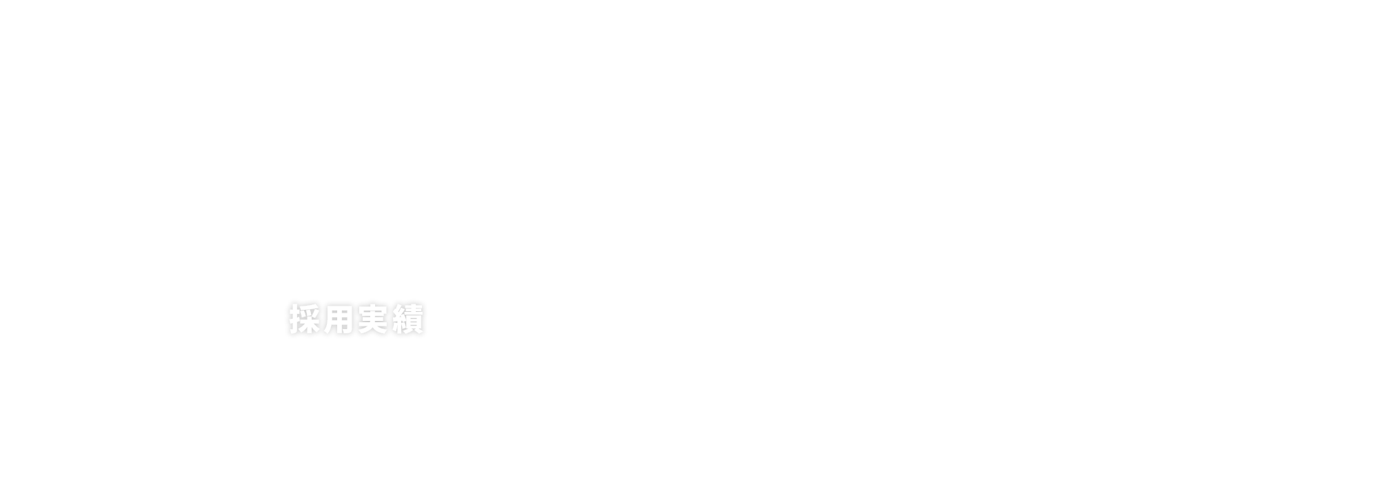採用実績